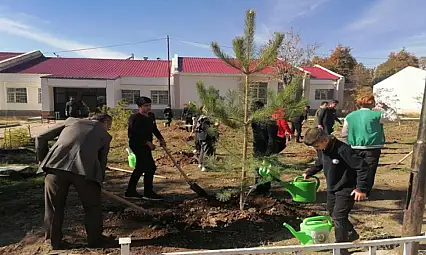 Okul bahçeleri fidanlarla yeşilleniyor