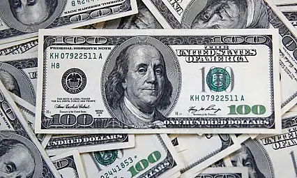 Özel sektörün yurt dışı kredi borcu Ağustos ayında 202,5 milyar dolar oldu
