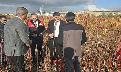 Soğuk hava deposunun yapımı devam ediyor