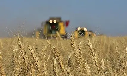 Tarım-GFE yıllık yüzde 33,66 arttı