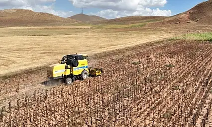 Tarımsal girdi fiyatları yıllık yüzde 33,66 arttı