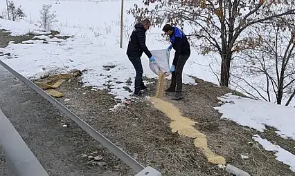 Van Büyükşehir Belediyesi kanatlı hayvanlar için seferber oldu