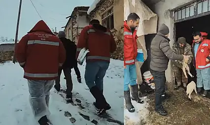 Van'da kış şartlarına rağmen hayvan sağlığı için saha çalışması