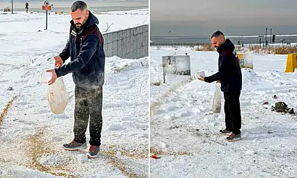Van'da yaban hayvanları için doğaya yem bırakıldı