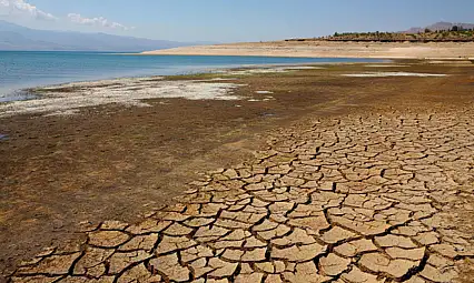 Van Gölü kıyısında sessiz kayıp: Doğal bitki örtüsü alarm veriyor