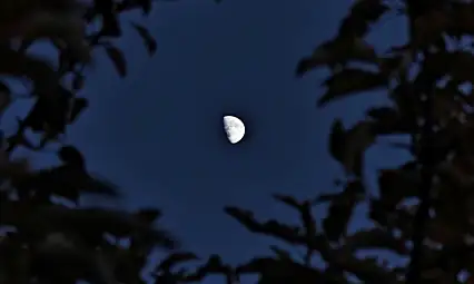 Yarım ay manzarası hayran bıraktı