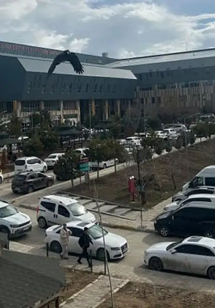 Van'da uzmandan önemli uyarı