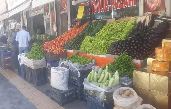Van'da sebze meyve fiyatları cep yakıyor