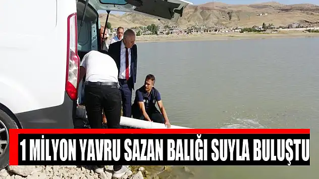 1 MİLYON YAVRU SAZAN BALIĞI SUYLA BULUŞTU