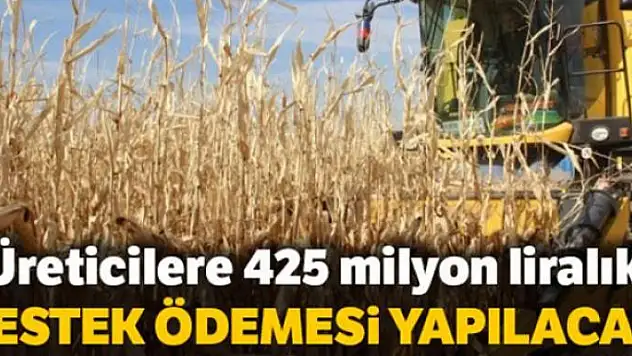Çiftçiye 425 milyon lira 