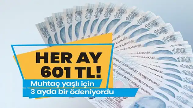 Muhtaç yaşlıya her ay 601 TL