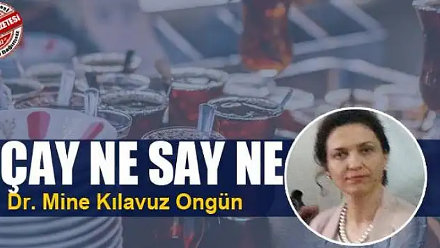 Çay ne say ne