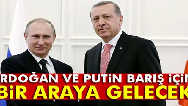 Putin: 'Suriye görüşmelerinin Astana'da gerçekleştirilmesi konusunda anlaştık'