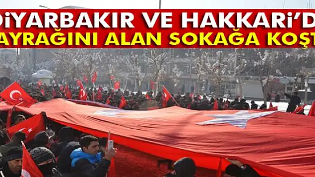 Diyarbakır ve Hakkari'de binlerce insan 'terörle lanet' okudu