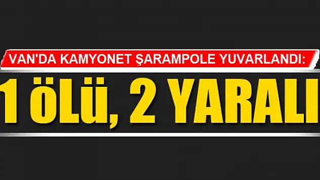 Van'da kamyonet şarampole yuvarlandı: 1 ölü, 2 yaralı