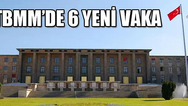 TBMM'de 6 yeni vaka