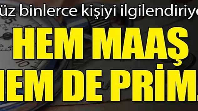 Teşvikler netleşti! Hem maaş hem de prim...