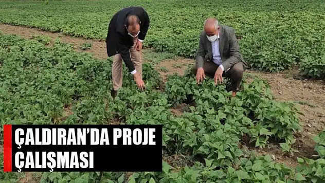 Çaldıran'da bitkisel ürün çeşitliliğinin arttırılmasına yönelik proje çalışması