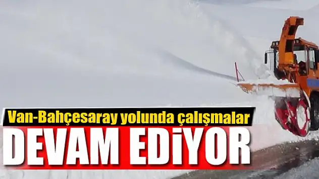 Van-Bahçesaray yolunda çalışmalar devam ediyor