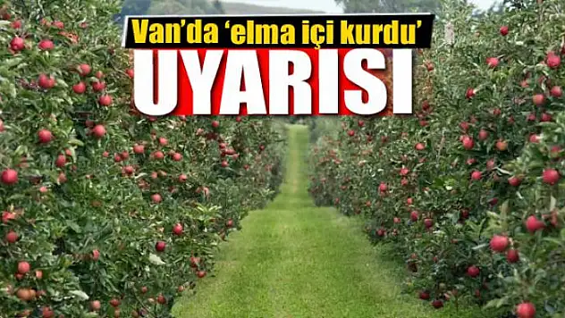 Van'da 'elma içi kurdu' uyarısı 