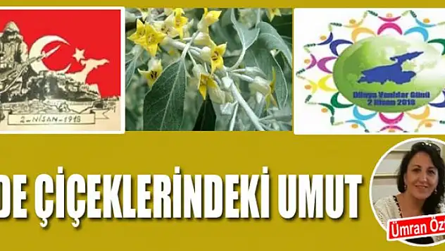 İğde Çiçeklerindeki Umut