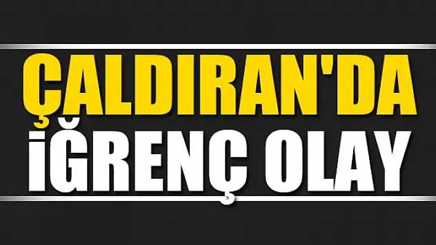 Çaldıran'da iğrenç olay