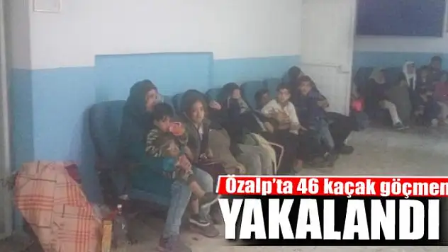 Özalp'ta 46 kaçak göçmen yakalandı