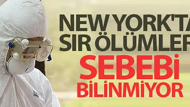New York'ta 5 binden fazla kişinin ölüm nedeni bilinmiyor
