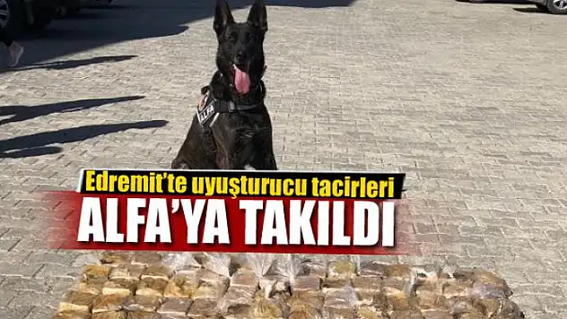 105 kilo eroin hassas burun 'Alfa'ya takıldı