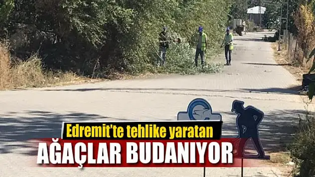Edremit'te kuru ve tehlike arz eden ağaçlar budanıyor