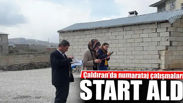 Çaldıran'da numarataj çalışması 