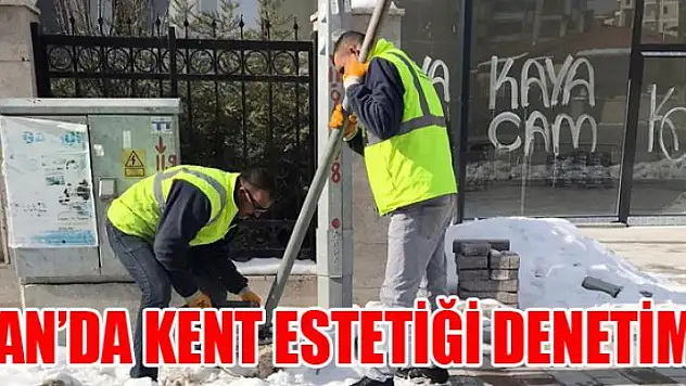 Van'da kent estetiği denetimi