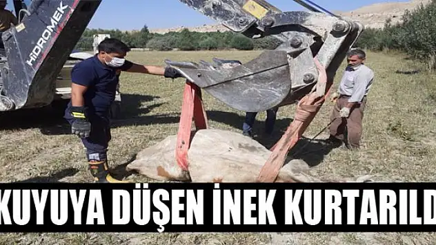 Kuyuya düşen inek itfaiye ekipleri tarafından kurtarıldı