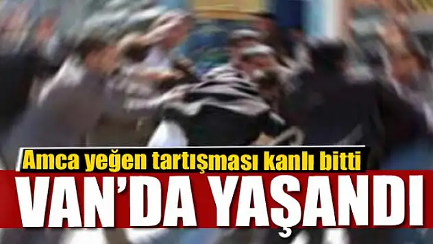 Amca yeğen tartışması kanlı bitti