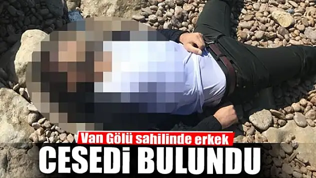 Van Gölü sahilinde erkek cesedi bulundu 