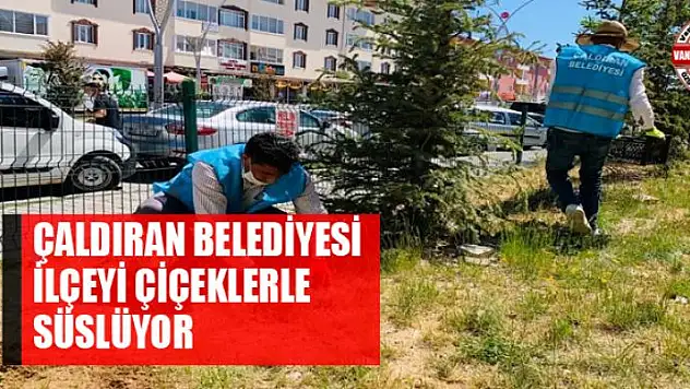 Çaldıran Belediyesi ilçeyi çiçeklerle süslüyor