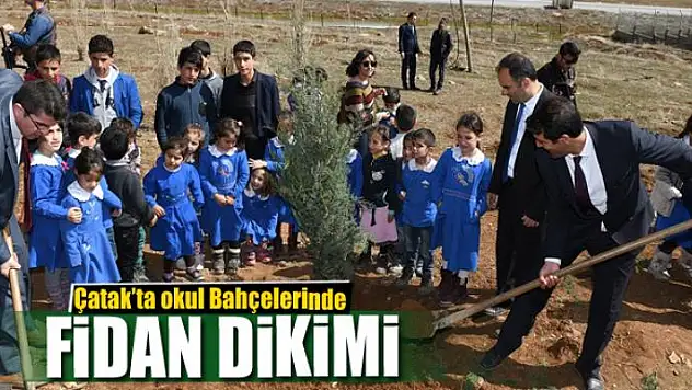 Çatak'ta fidan dikimi 