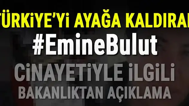 Emine Bulut cinayetiyle ilgili Bakanlık'tan açıklama