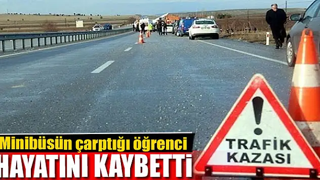 Muradiye'de minibüsün çarptığı öğrenci hayatını kaybetti