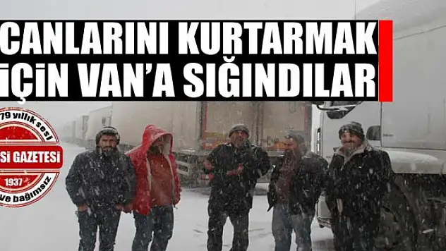 Canlarını kurtarmak için Van'a sığındılar