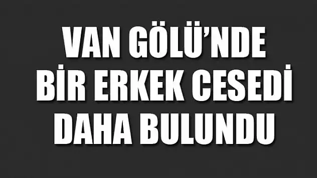 Van Gölü'nde bir erkek cesedi daha bulundu