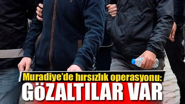 Muradiye'de hırsızlık operasyonu: 2 gözaltı