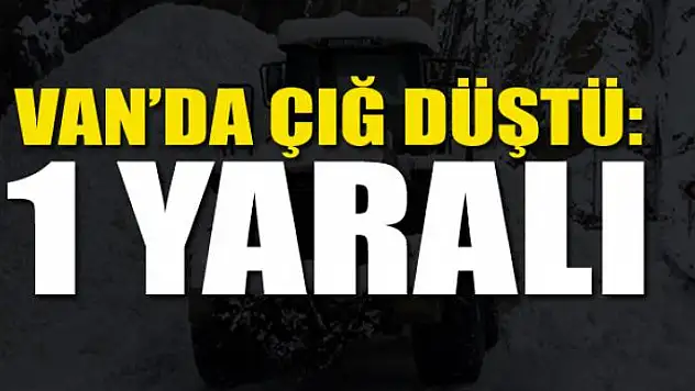 Van'da çığ düştü