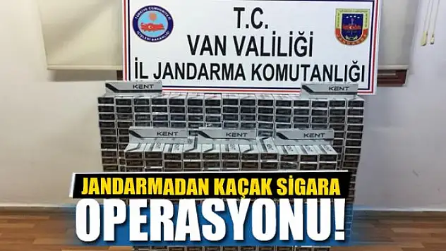 Jandarmadan kaçak sigara operasyonu