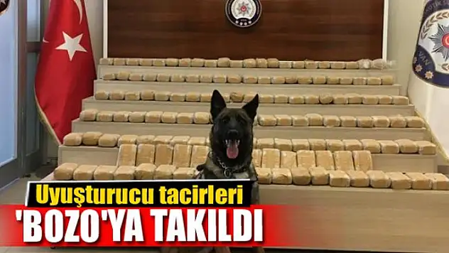 Uyuşturucu tacirleri 'Bozo'ya takıldı