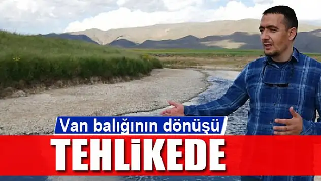 Van balığının dönüşü tehlikede
