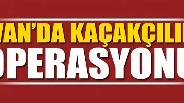 Van'da kaçakçılık operasyonu