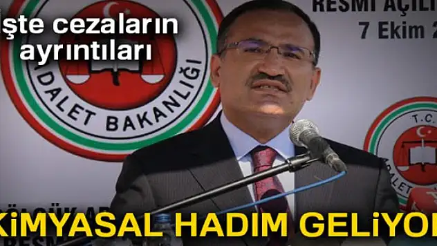 Kimyasal hadım geliyor