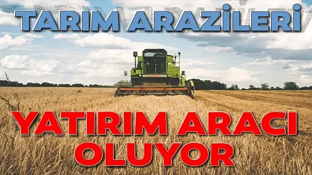Tarım arazileri yatırım aracı oluyor