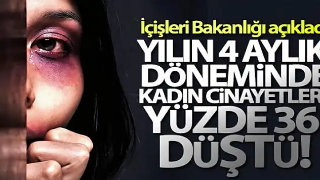 'Türkiye'de yılın 4 aylık döneminde geçen yıla göre kadın cinayetleri yüzde 36 oranında düştü'
